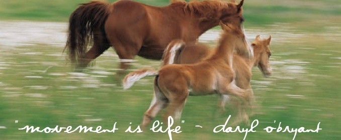 http://destinedforfreedom.com/wp-content/uploads/2012/08/slide31-678x280.jpg